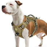Adjustable Anti-Pull Harness with MOLLE System