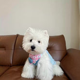 Adjustable Reversible Dog Bandana Bib