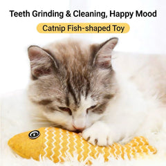 Cat Chew Toy 5-Piece Set
