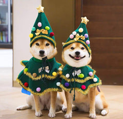 Christmas hat and collar