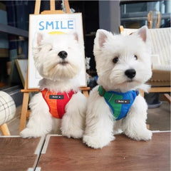 Dog Harness Leash Set Reflective Adjustable