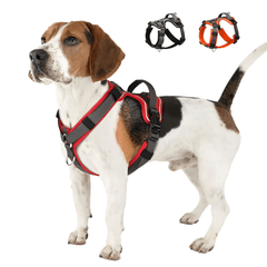 Dog Harness - Reflection and Handle