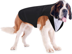 Tuxedo and Bandana Suit Costumes