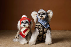 Fair Isle Sleeveless Vest – Cozy Knit Dog Sweater