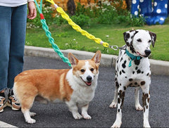 Handmade Twisted Braided Dog Leash