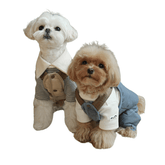 Jumpsuit - Four-Legged Harness