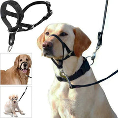 Muzzle for dogs