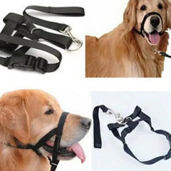Muzzle for dogs