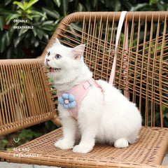 No Pull Adjustable Vest Harness and Leash Set