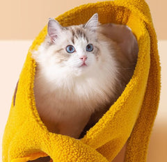 Cozy cheese carrier