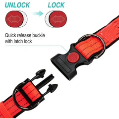 Reflective Dog Collar with Double D-Ring