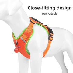 Reflective Dog Harness – Adjustable Nylon Harness for Walking