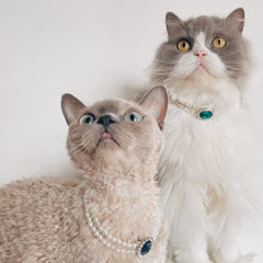 Rhinestone Jeweled Pet Necklace