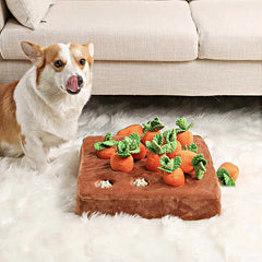 Ultra-soft Carrot Best Plush Toys