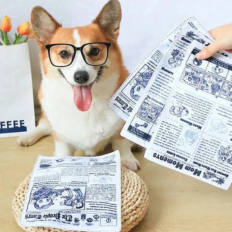 1pc Tearproof Newspaper Squeaky