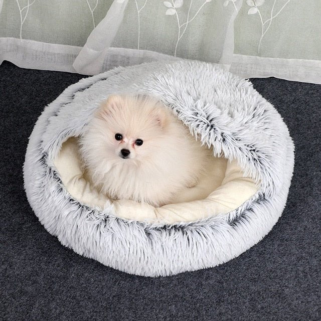 [BEST SELLER] Snuggle into Comfort with the 2-in-1 Bed