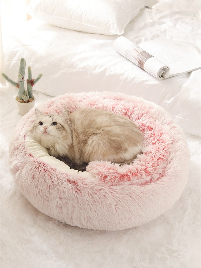 [BEST SELLER] Snuggle into Comfort with the 2-in-1 Bed