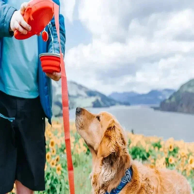 4-in-1 Retractable Dog Leash – with Water Bottle, Poop Bag Holder & Food Bowl
