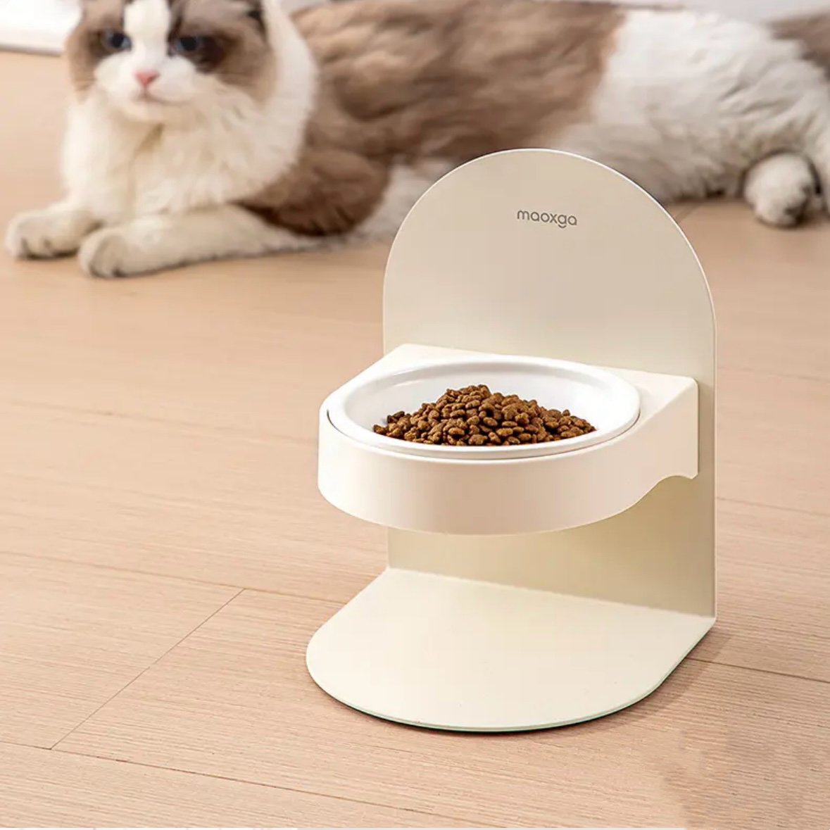 Adjustable Ceramic Bowl