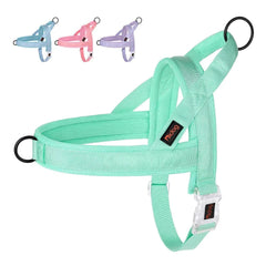 Adjustable Dog Harness - Nylon Padded Comfort - Harness for Walking Dogs