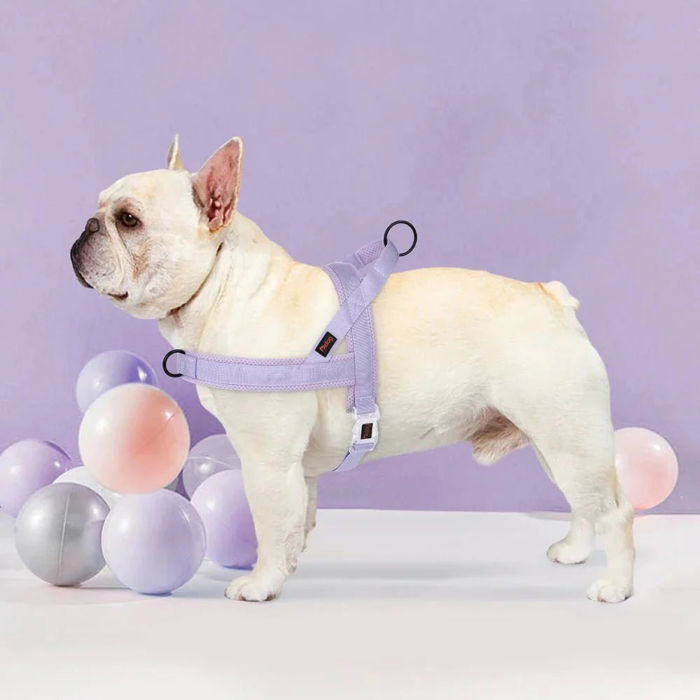 Adjustable Dog Harness - Nylon Padded Comfort - Harness for Walking Dogs