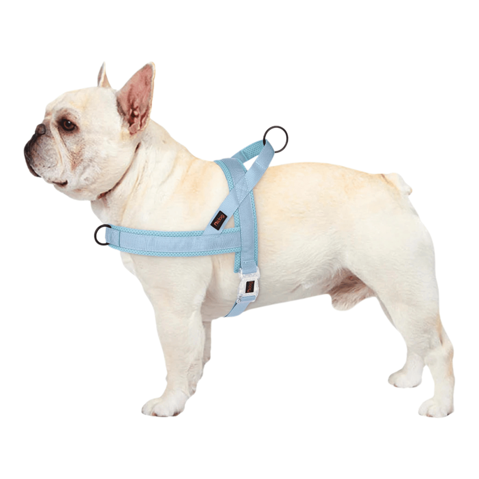 Adjustable Dog Harness - Nylon Padded Comfort - Harness for Walking Dogs