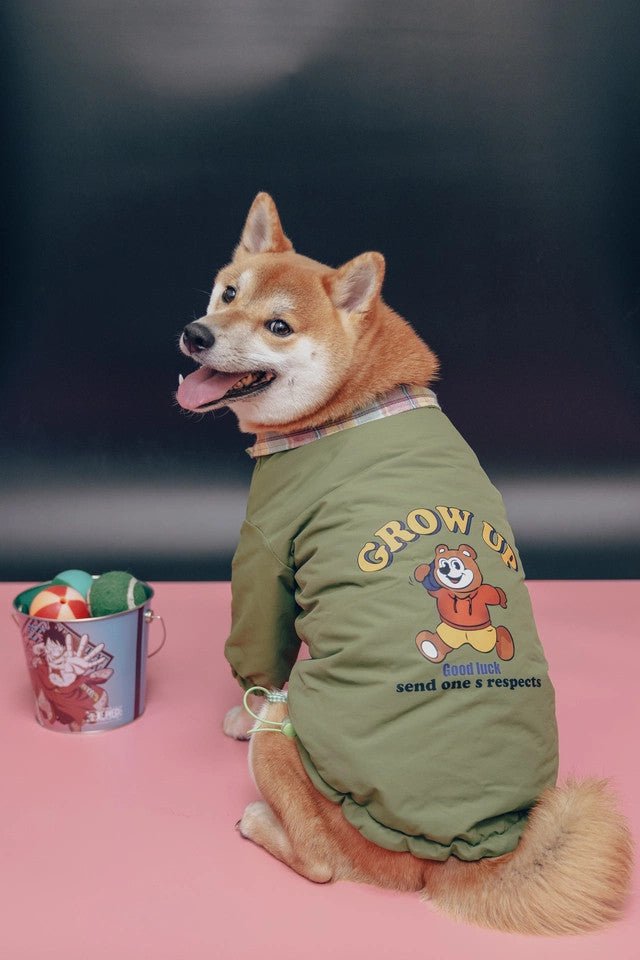 Adventure Jacket