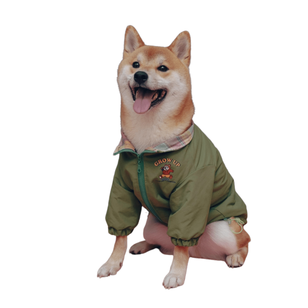 Adventure Jacket