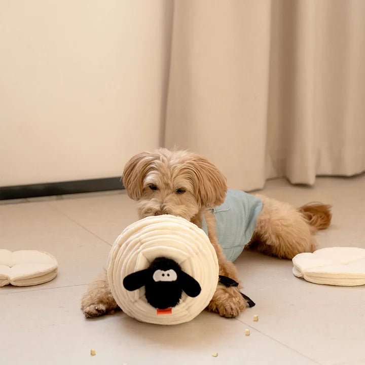 Animal pig snuffle toy