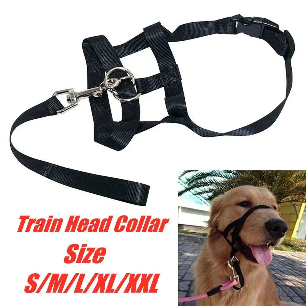 Anti-Pull Dog Halter – Halti-Style