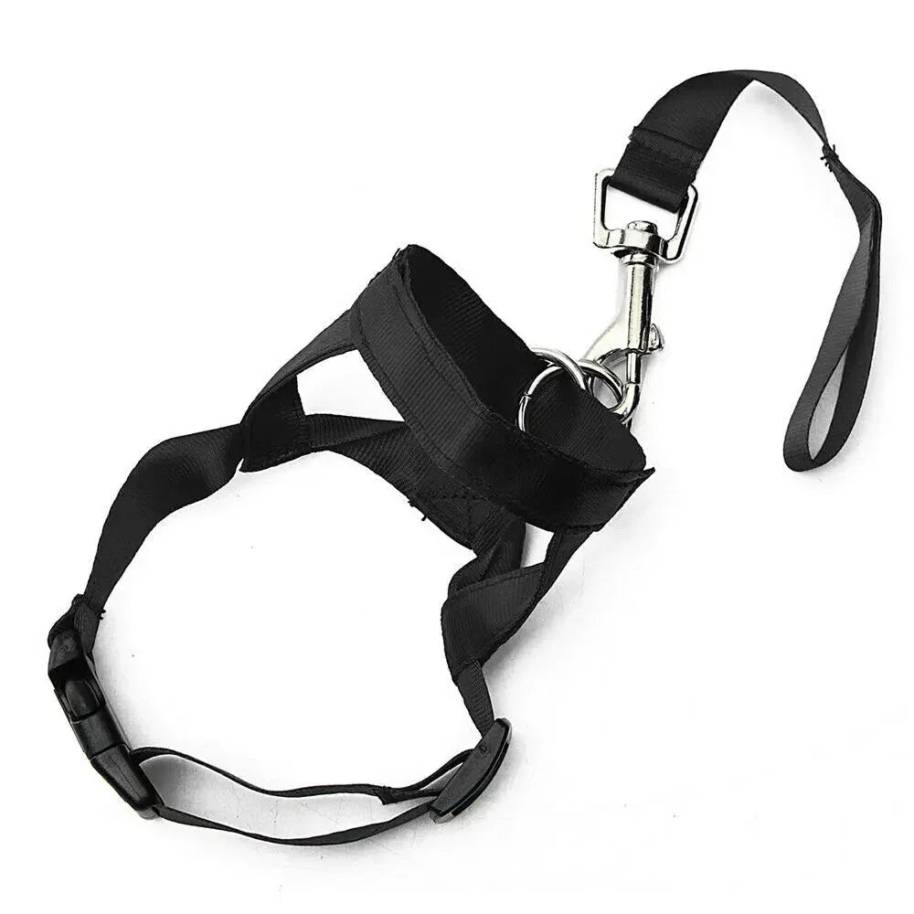 Anti-Pull Dog Halter – Halti-Style