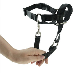 Anti-Pull Dog Halter – Halti-Style