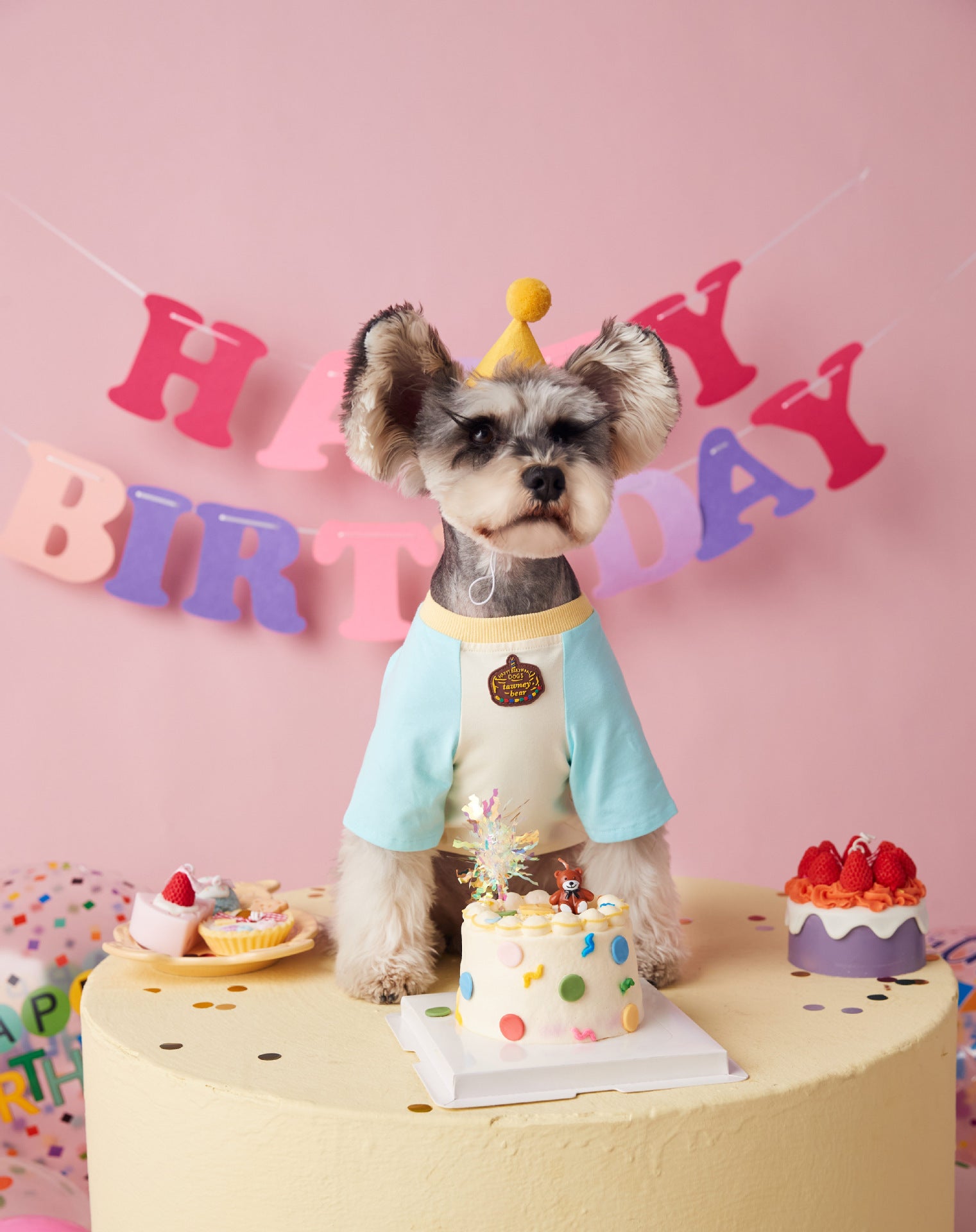 Birthday Edition Thin T-shirt