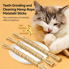 Cat Chew Toy 5-Piece Set