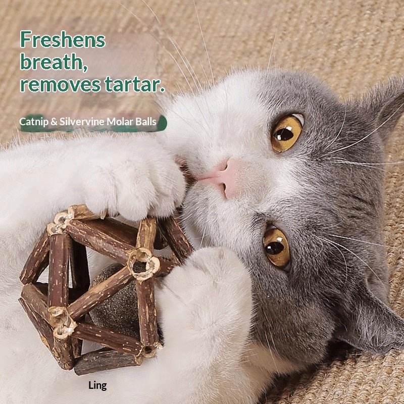Catnip &amp; Silvervine Dental Chew Ball