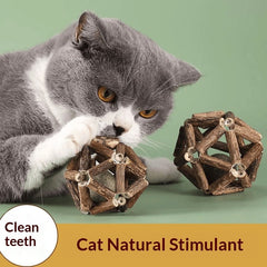 Catnip &amp; Silvervine Dental Chew Ball