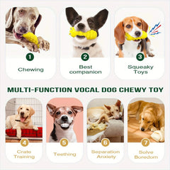 Chew Toy Tough Enduring Squeaky Interactive