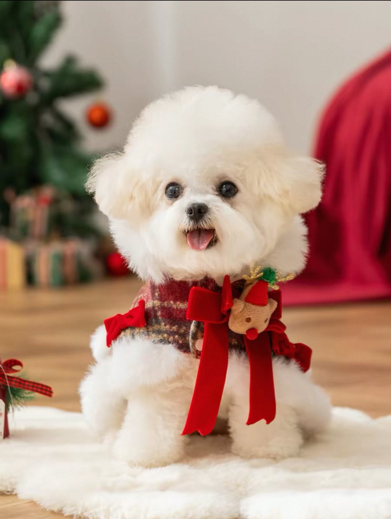 Christmas Pet Cape — Turn Your Pet into a Festive Reindeer