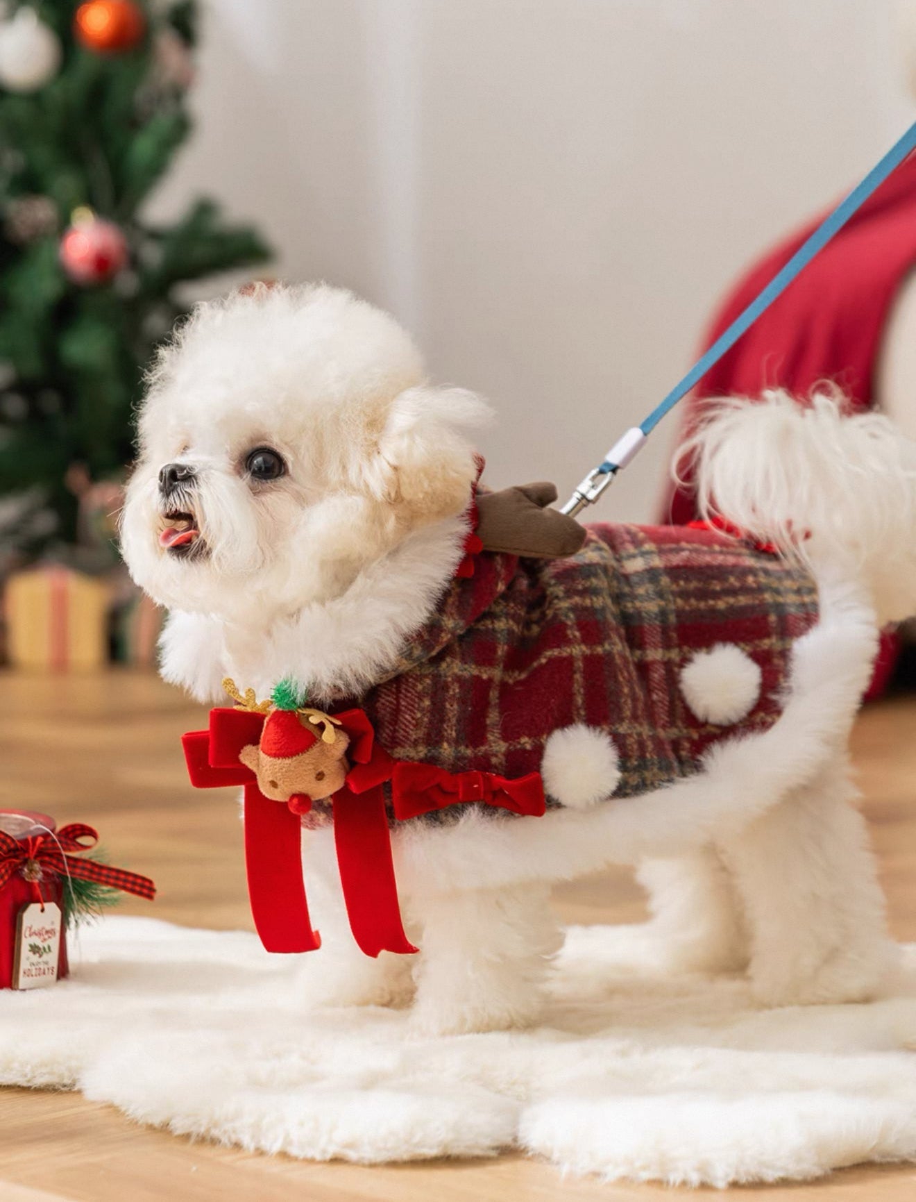 Christmas Pet Cape — Turn Your Pet into a Festive Reindeer