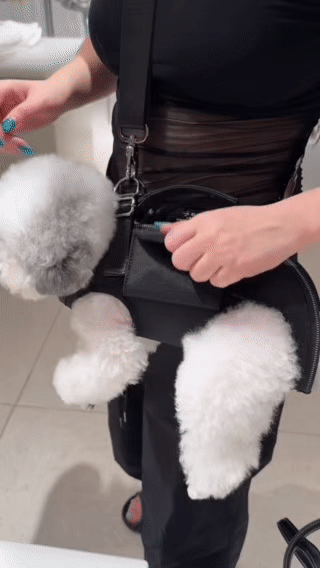 [HOT SALE] Pet Carrier Backpack
