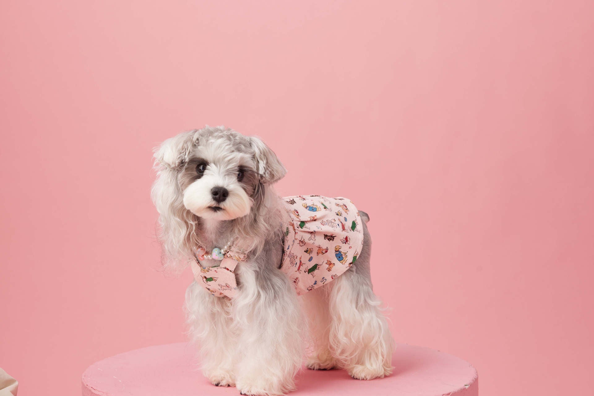 Denim Overall Dress with Harness Adjustable