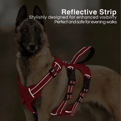 Dog Harness - Extra Sturdy