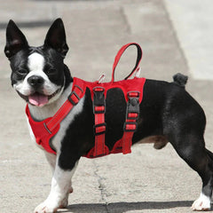 Dog Harness - Extra Sturdy