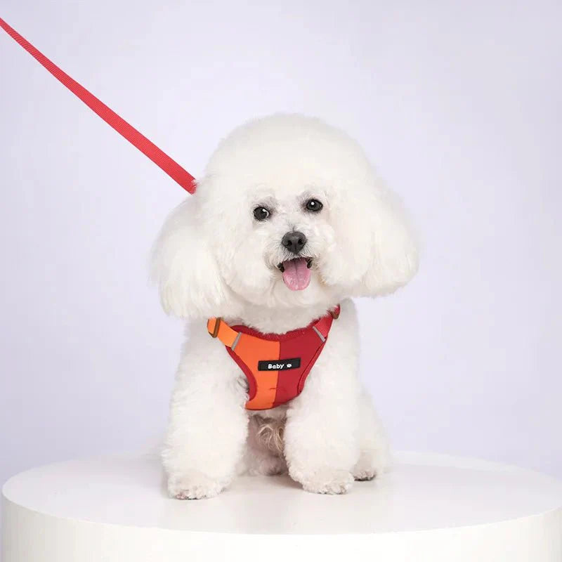 Dog Harness Leash Set Reflective Adjustable