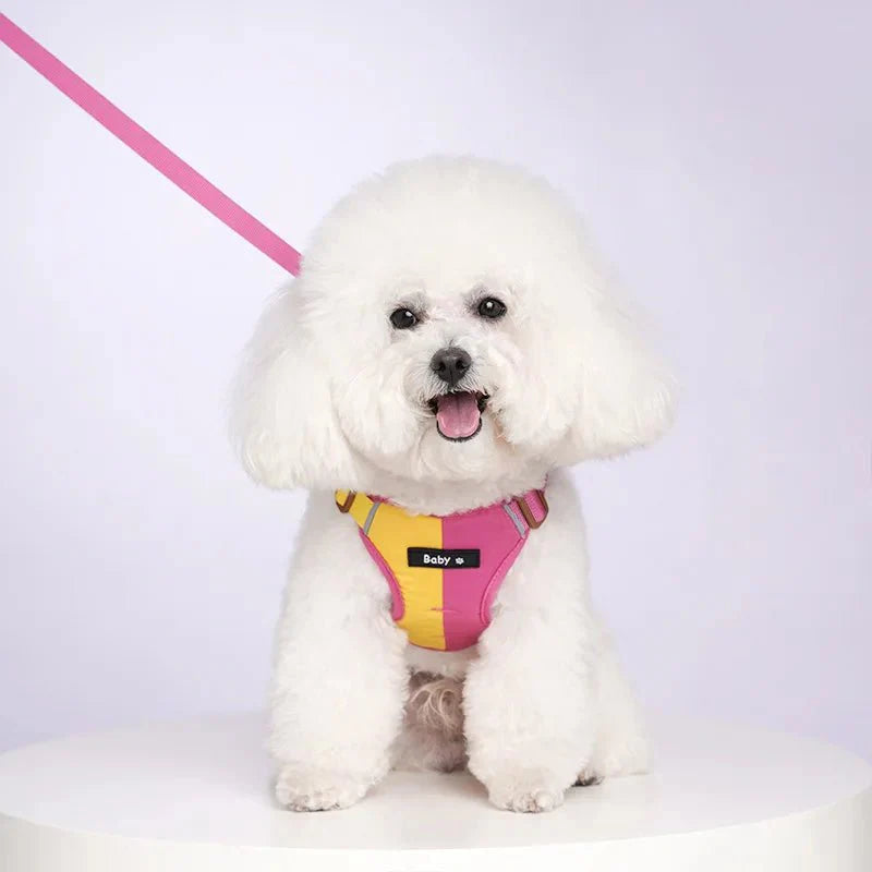 Dog Harness Leash Set Reflective Adjustable