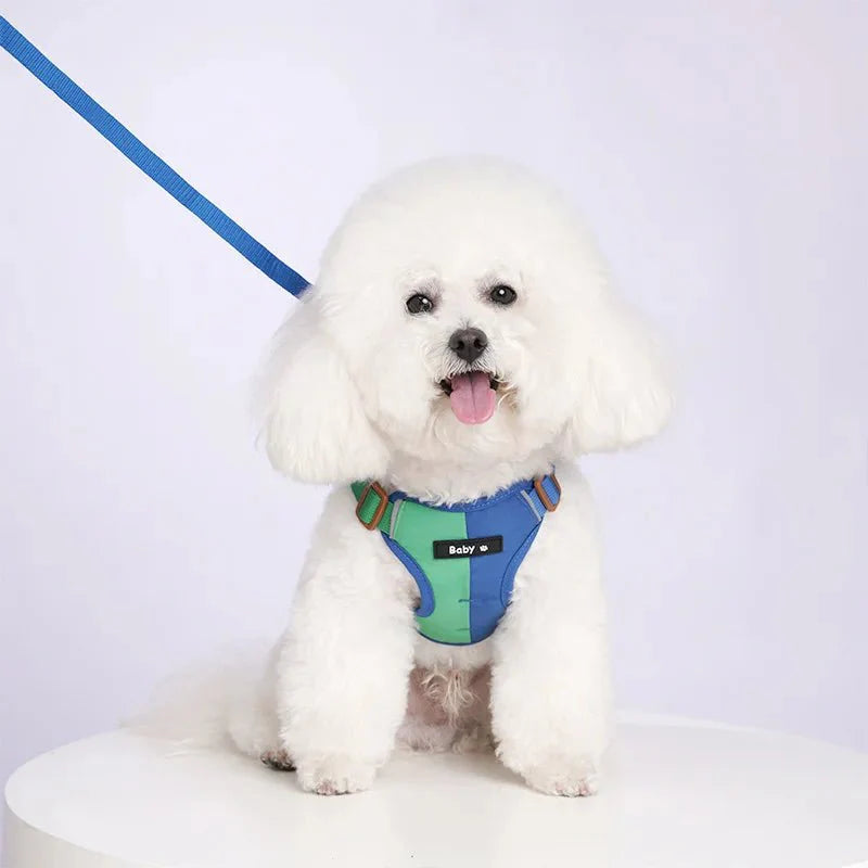 Dog Harness Leash Set Reflective Adjustable