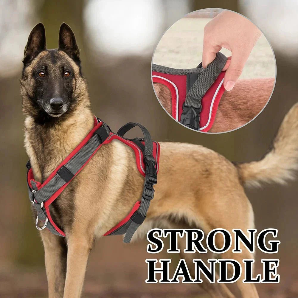 Dog Harness - Reflection and Handle
