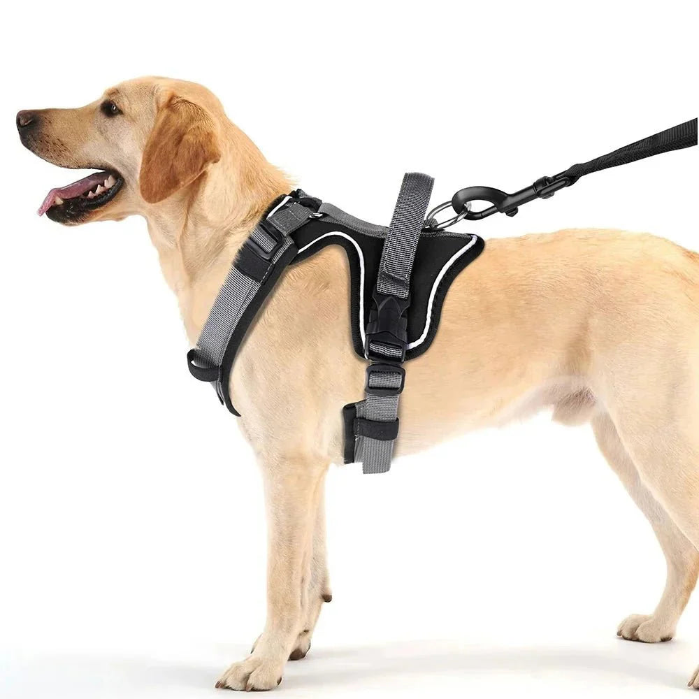 Dog Harness - Reflection and Handle