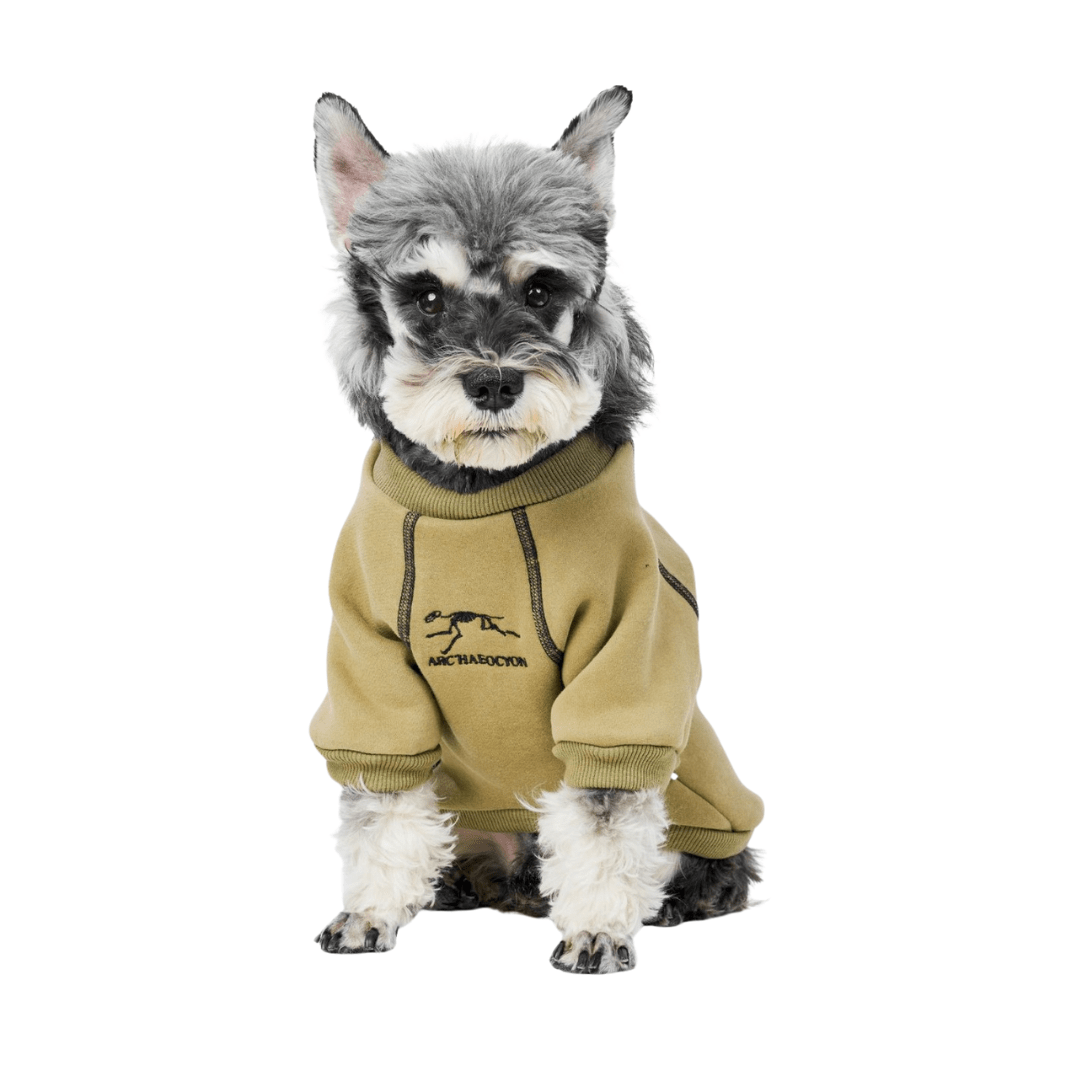 Dog Hoodie  Warm Fleece-Lined Sweater