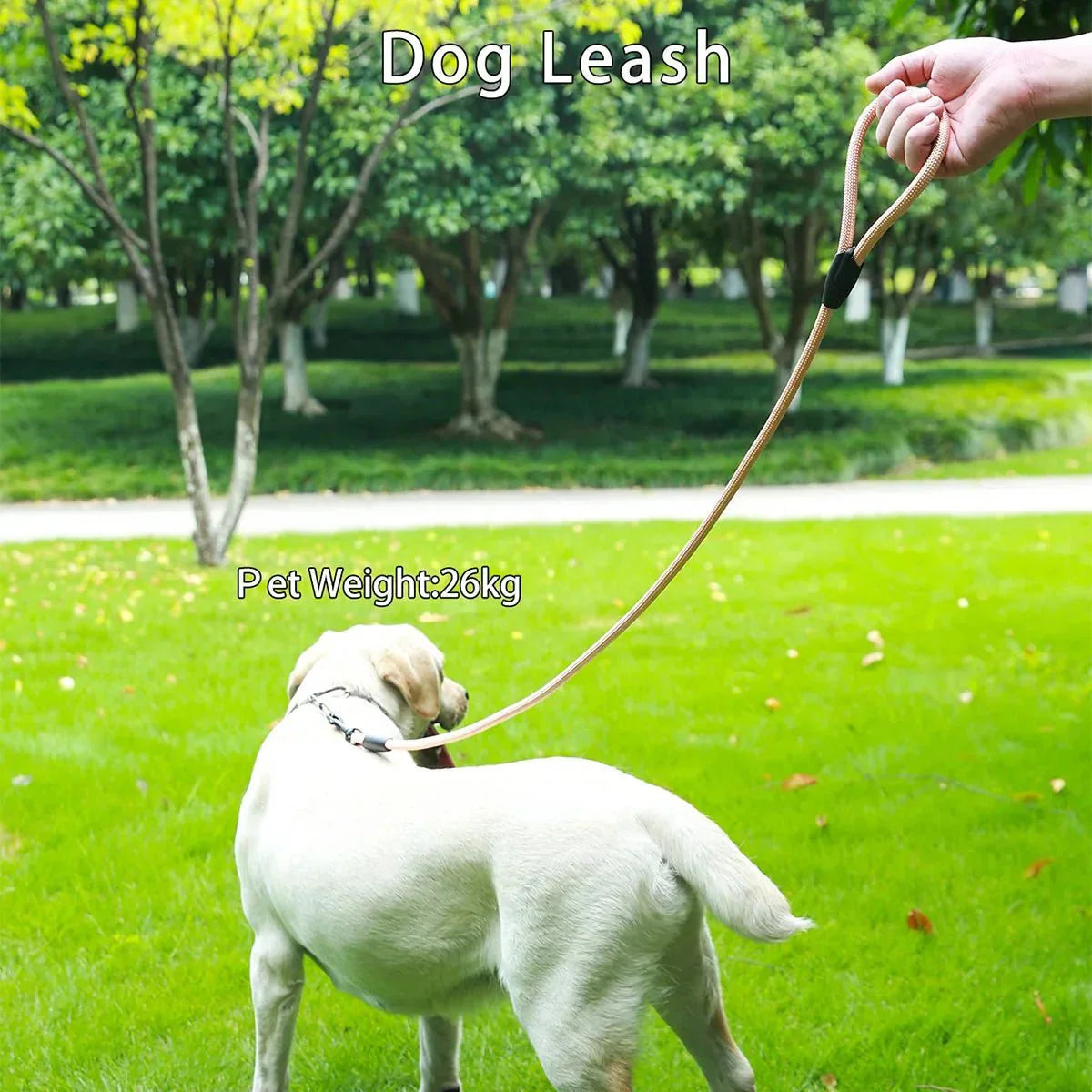 Dog Leash Easy Control